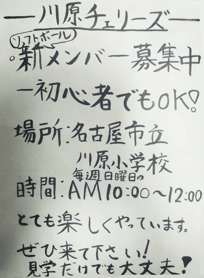 �쌴�`�F���[�Y�A�\�t�g�{�[���V�����o�[���W��